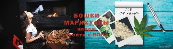 ПСИЛОЦИБИНОВЫЕ ГРИБЫ Баксан
