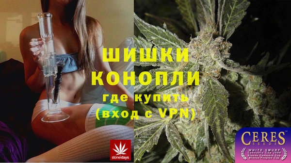 прущие крисы Горняк