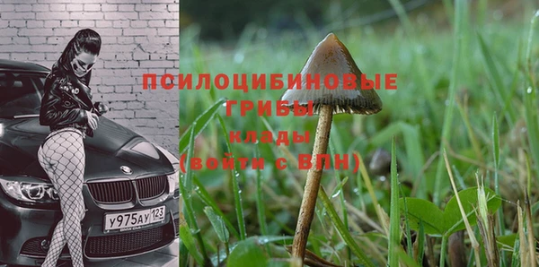 ПСИЛОЦИБИНОВЫЕ ГРИБЫ Баксан