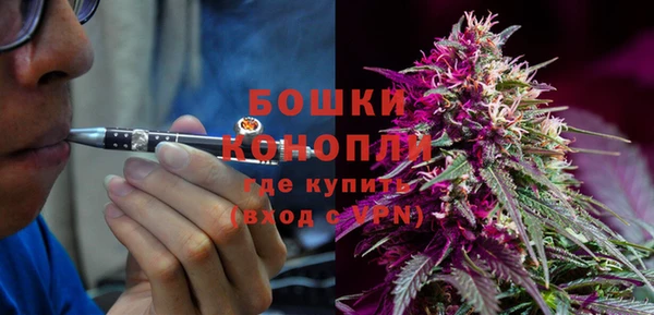 ПСИЛОЦИБИНОВЫЕ ГРИБЫ Баксан